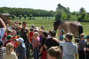 Klassenfahrt 2008