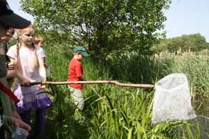 Entdeckungen am See und Wasserproben