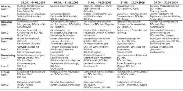 aktueller Essenplan zum Download