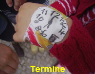 Termine