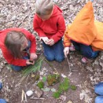 Eindrücke von den Waldwochen (aus der Perspektive der Landstreicherin)