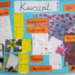 Die neue Kurszeit