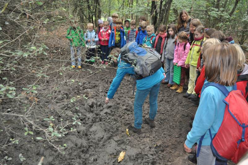 2015-10Waldwoche_0138.jpg
