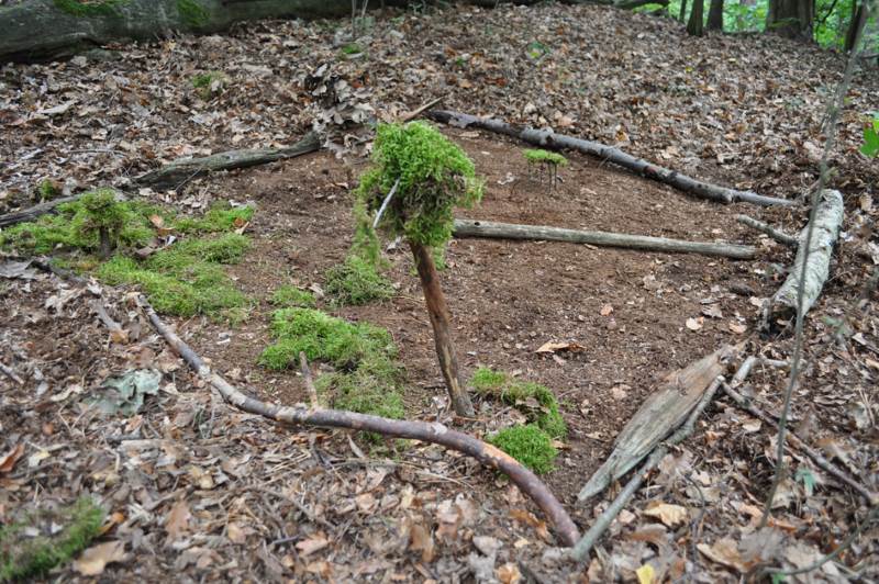 2015-10Waldwoche_0262.jpg